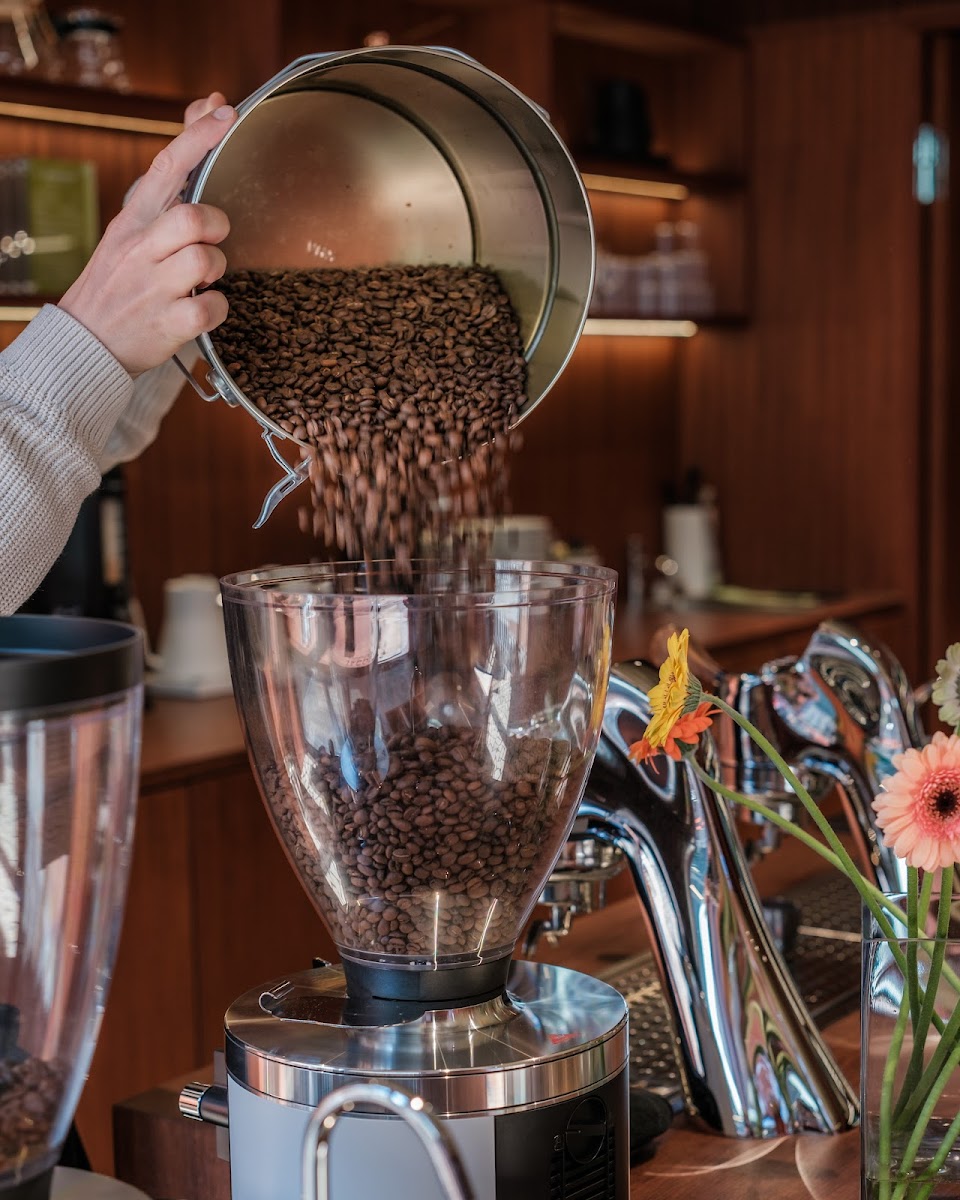 Johann Jacobs House Photos 2